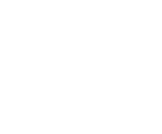 Evolution games at More Spin Casino